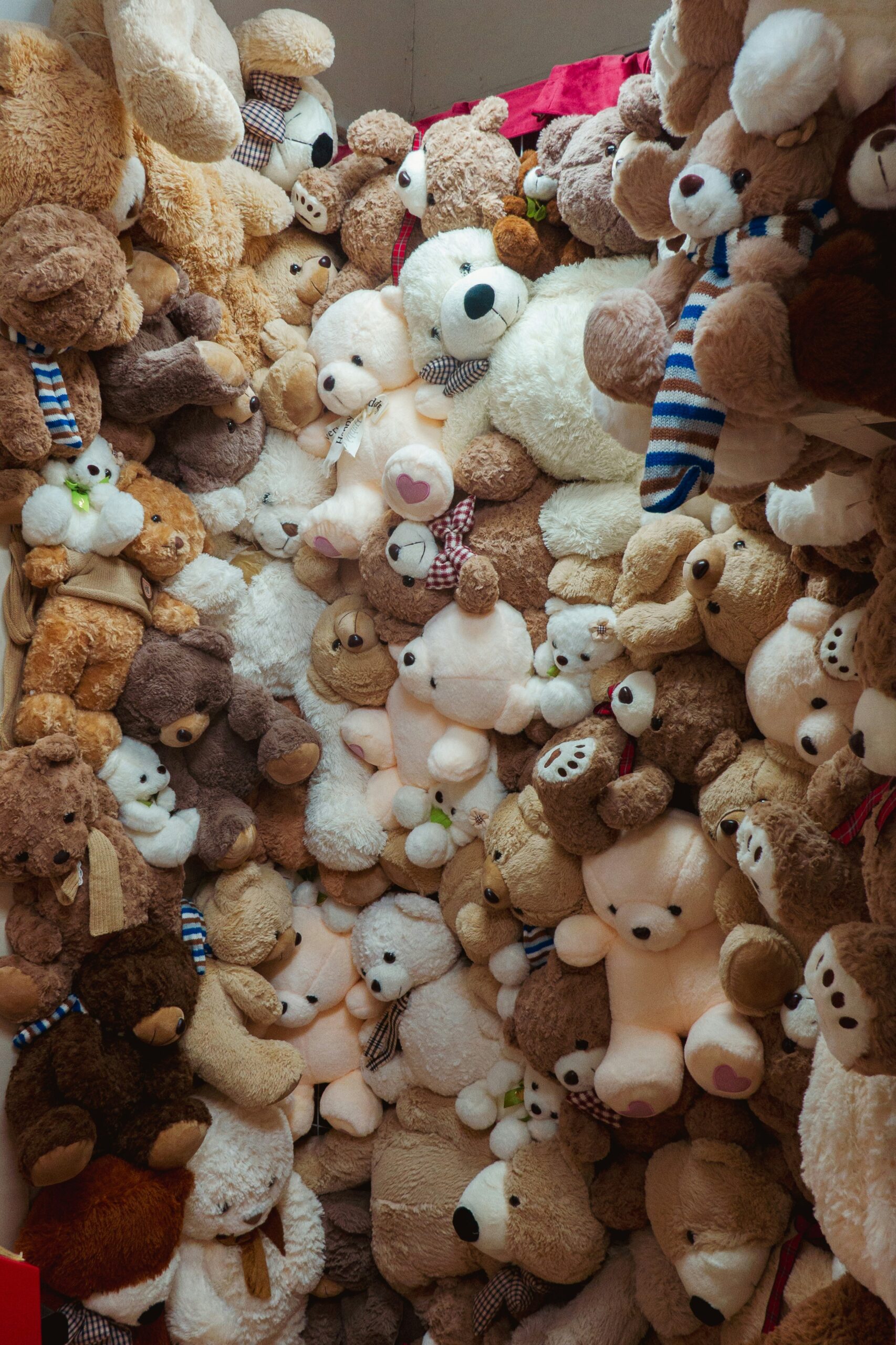 Plush Toys